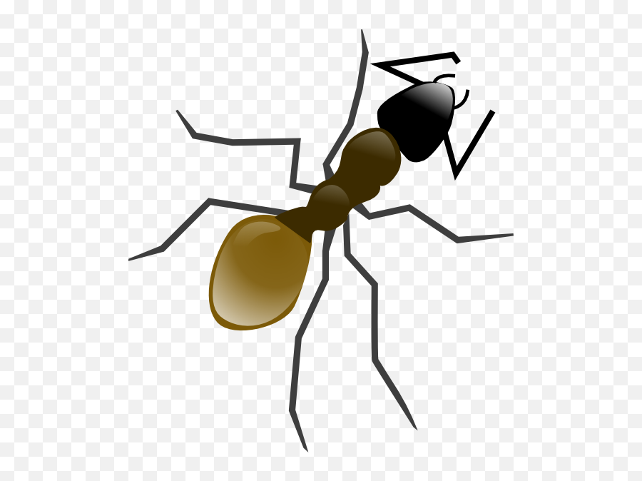 Grasshopper Clipart Ant Grasshopper - Dibujos De Hormigas En Piedras Emoji,Ant Emoticon