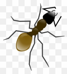 Grasshopper Clipart Ant Grasshopper - Dibujos De Hormigas En Piedras Emoji,Ant Emoticon