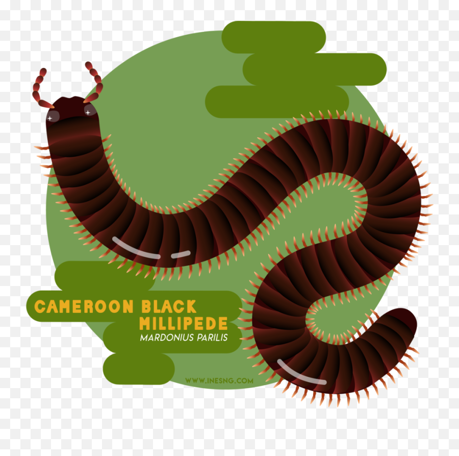 Ines Ng Emoji,Earthworm Emoji