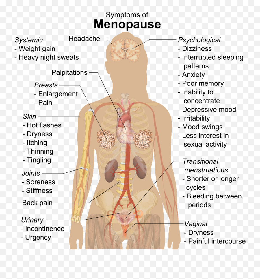 Lifespan Development - Physiological Changes In Menopause Emoji,Emotion Faces Pdf