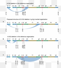 Illustration Of The Novel Deletions A Illustration Of The - B2 B3 Deletion Emoji,Daz G3 Emotions