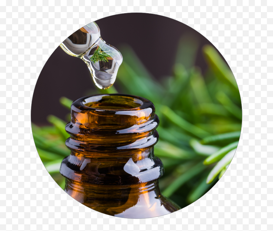 Essential Oils - New Harmony Wellness Oil Fir Balsam Emoji,Oils And Emotions Yoga Doterra