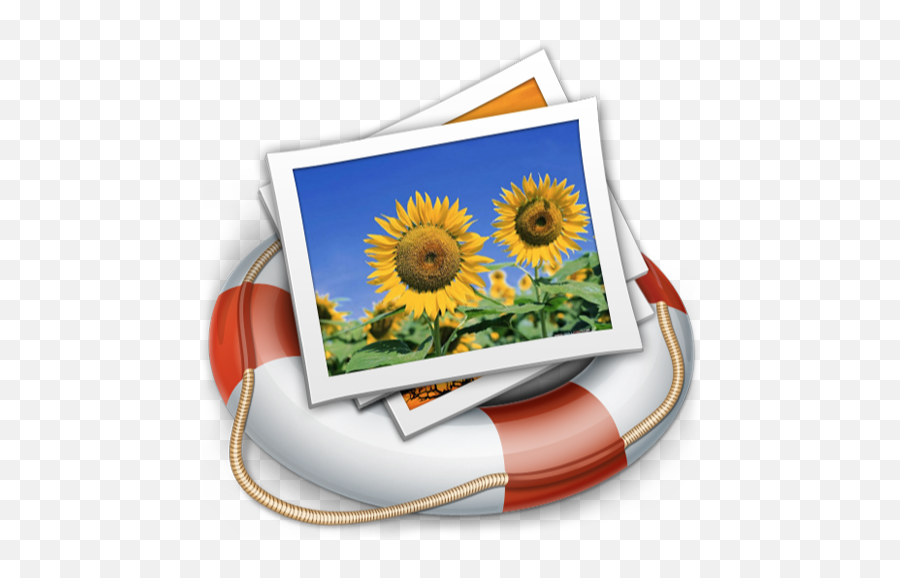 Vlogit - Video Editor Apps 148apps Wallpaper Emoji,V4 Flower Emoji