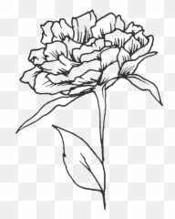 Associate Pricing Guide U2014 Dayton Cincinnati U0026 Columbus Emoji,It Has To Grow Spontaneously Like A Flower In Mind Free From Emotions