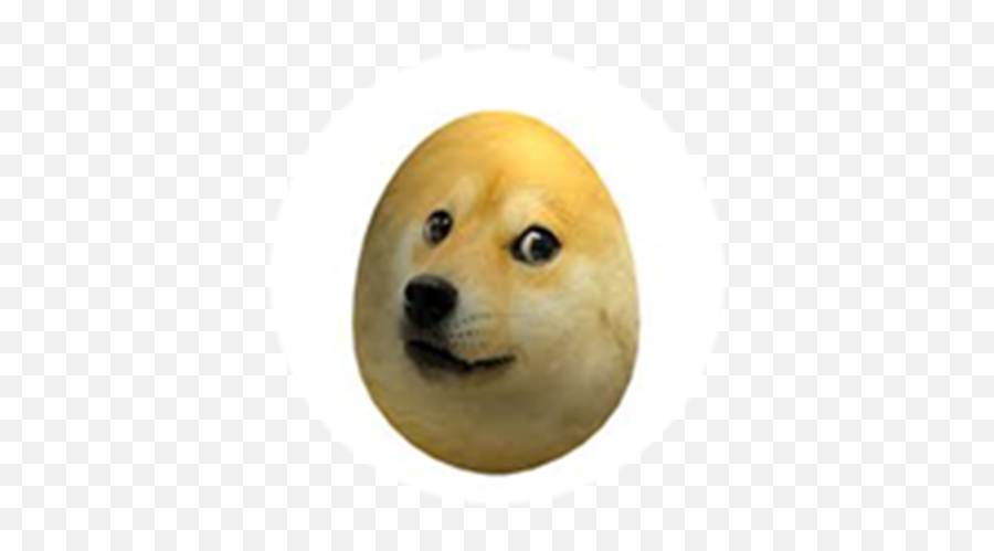 Such Egg Eggs Doge Emoji,Seal Animal Emojis