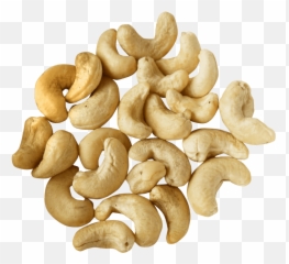 Png - Crazypngcrazypng Emoji,Tefillin Emoji