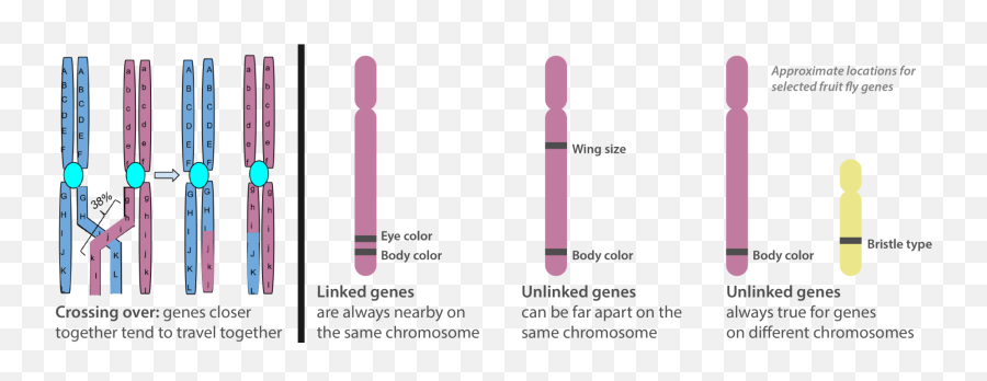 3 Ways To Combat Racism With Science Even Though Science Emoji,Borad Scale Of Emotions