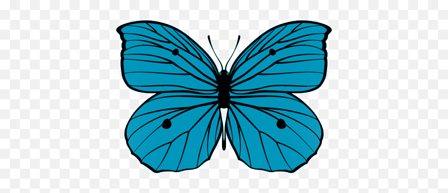 Butterfly Memorial Garden - Butterfly Memorial Garden Emoji,Butterfly Emoji Meaning