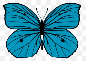 Butterfly Memorial Garden - Butterfly Memorial Garden Emoji,Butterfly Emoji Meaning