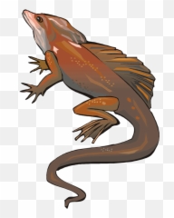 Horned Lizard Clipart Animated - Lizard Png Download Lizards Emoji,Purple Horned Emoji