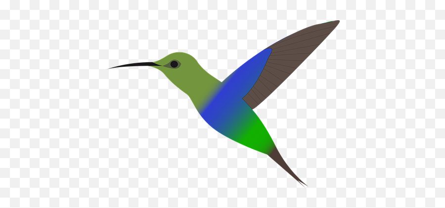 Free Hummingbirds Bird Vectors - Hummingbird Clip Art Emoji,Hummingbird Emoji