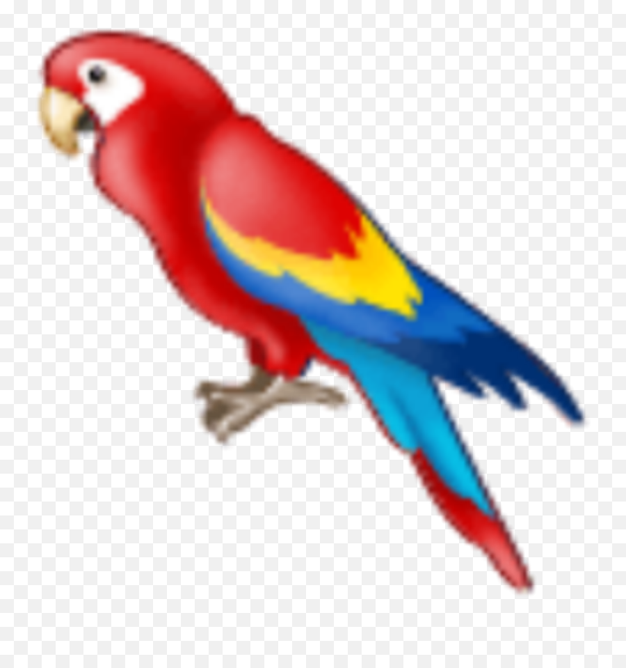 Parrot Bird Sticker - Parrot Emoji Samsung,Parrot Emojis