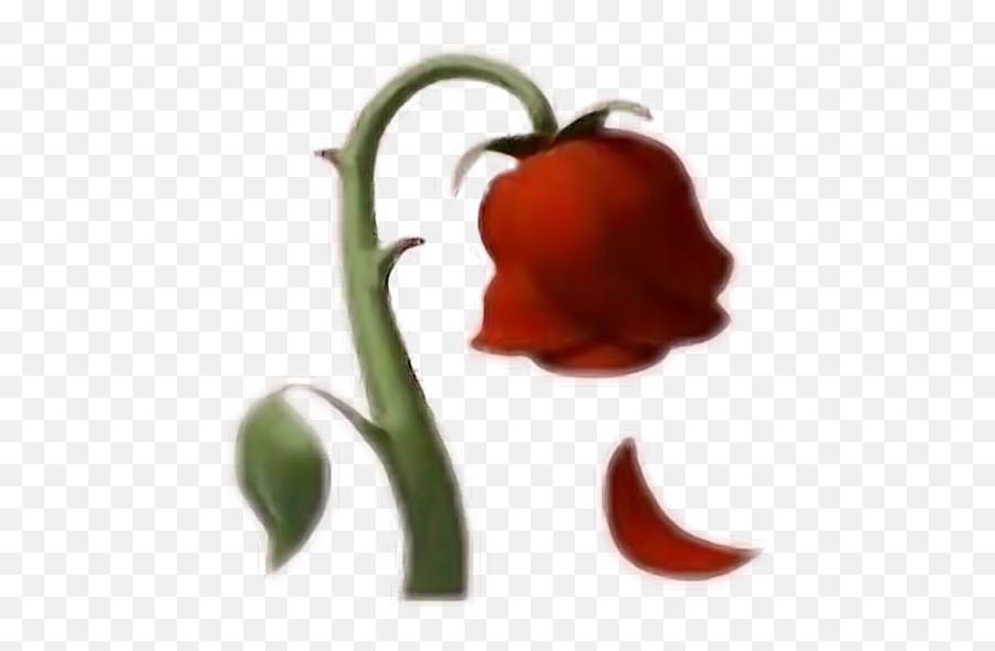 Rose Emoji Emojis Flower Sticker - Dead Rose Emoji Transparent,Red Rose Emoji