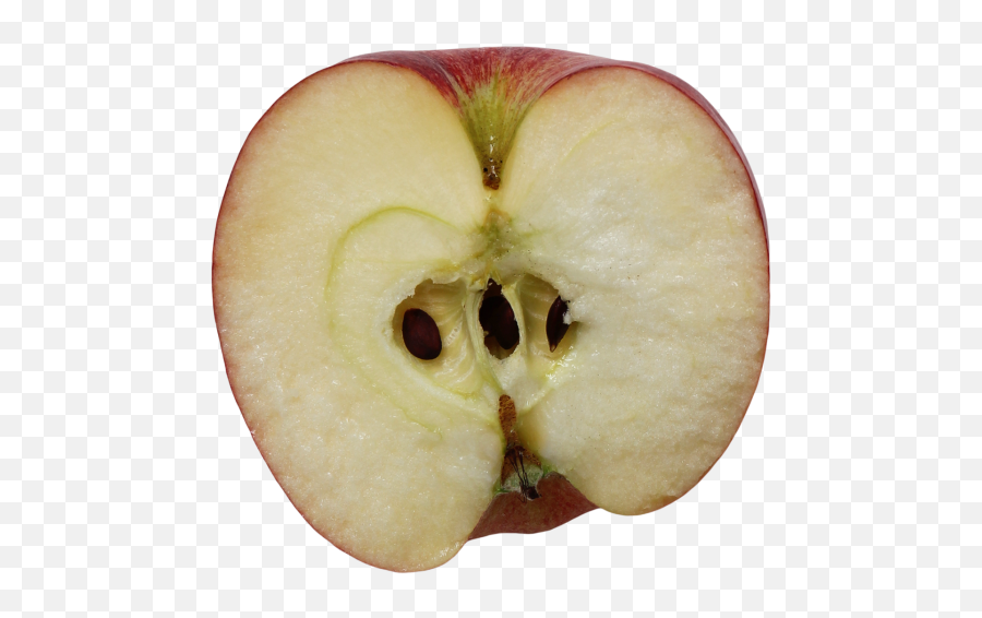 Pineapple Emoji - Half An Apple Png,Pineapple Emoji