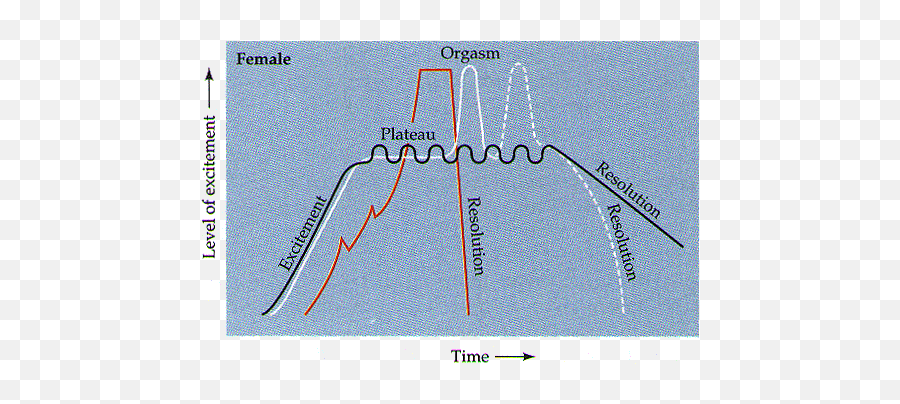 Physiology Of Sexual Response Dr Mahmoud Ahmad Fora - Orgasms Sex Response Graphics Curve Emoji,Swollen Testicles Emotions