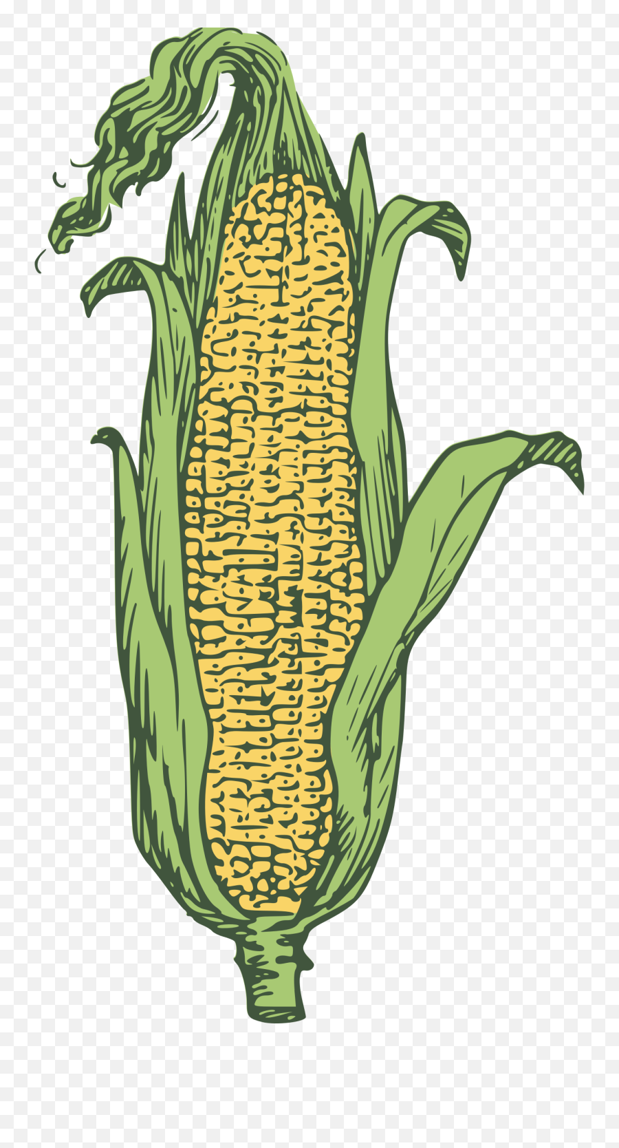 Corny Cliparts Download Free Clip Art - Hybrid Seed Emoji,Emoji Corny Jokes