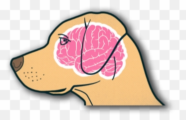 Bow - Dog Emoji,Science On Tap Science Of Emotions