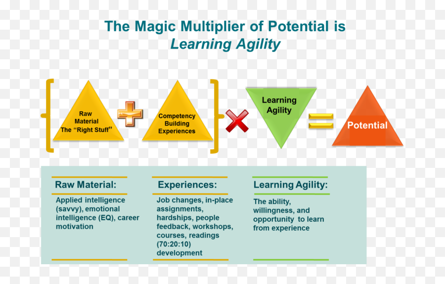 Learning Agility U2013 A 2020 Leadership Competency U2013 Tofa Akademi - Learning Agility Potential Emoji,Theories Of Emotion Graphs