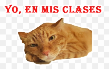 Sticker Maker - Animaleschidos Emoji,Pendejo Emoticon