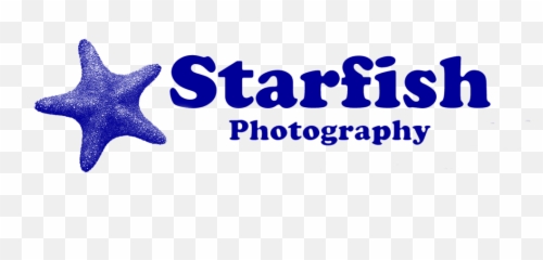 Contact Us U2013 Starfish Underwater Photography Emoji,Starfish Emotion For Facebook