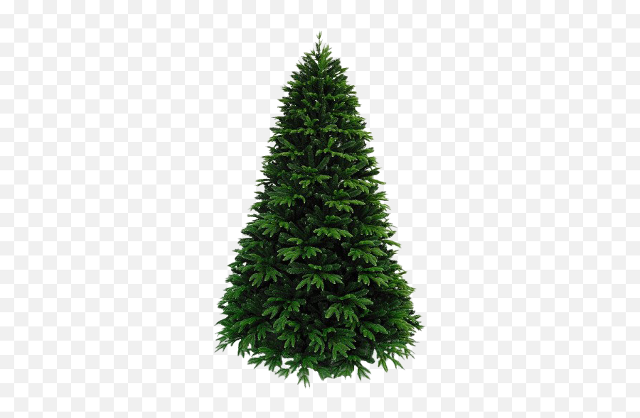 Artificial Christmas Tree Png Free Download Png Mart Emoji,Chritsmas Tree Emoji