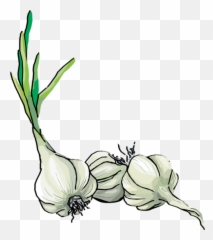 Free Clip Art - Clip Art Garlic Emoji,Garlic Bread Emoji