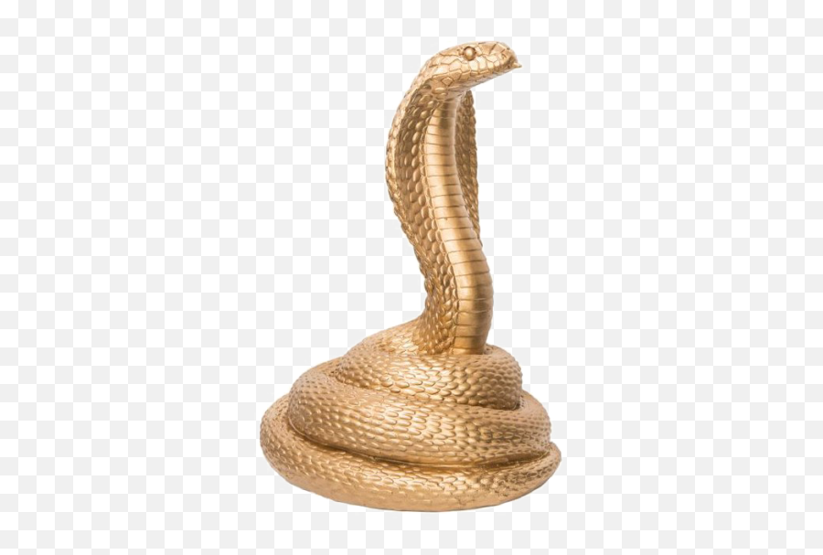 Serpent Png And Vectors For Free Download - Dlpngcom Transparent King Cobra Png Emoji,Rattlesnake Emoji