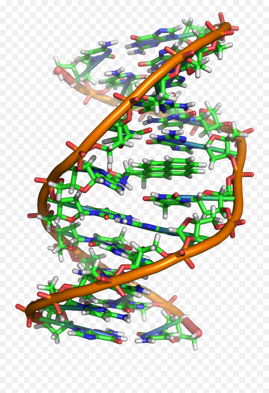 101 Reasons Why Evolution Is True Ideonexuscom - Dna Molecular Biology Emoji,Coevolution Layer Emotion