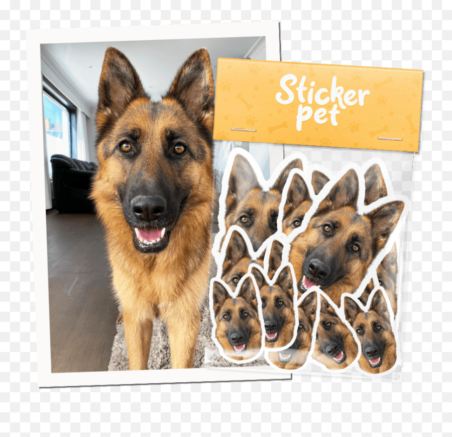 Sticker Pet - Collar Emoji,Gsd German Shepard Emojis