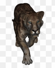 Jansfreeposertubes Page 12 Poser Animals - Saber Tooth Tiger Png Transparent Background Emoji,Facebook Sabertooth Tiger Emojis