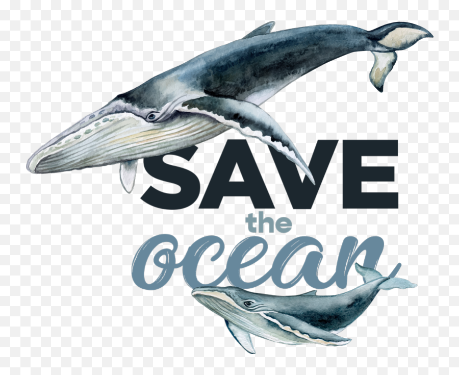 Save The Ocean Text With Fish T - Shirt Tenstickers Sei Whale Emoji,Fishbone Emoticon