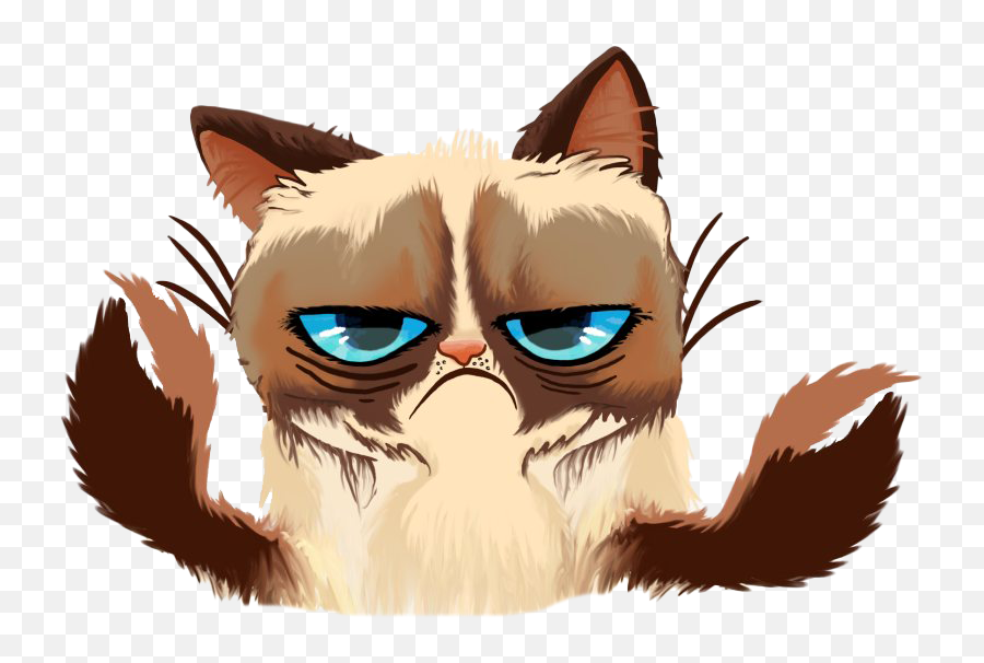Download Grumpy Face Cat Download Hd Hq Png Image Freepngimg Emoji,Grumpy Emotion