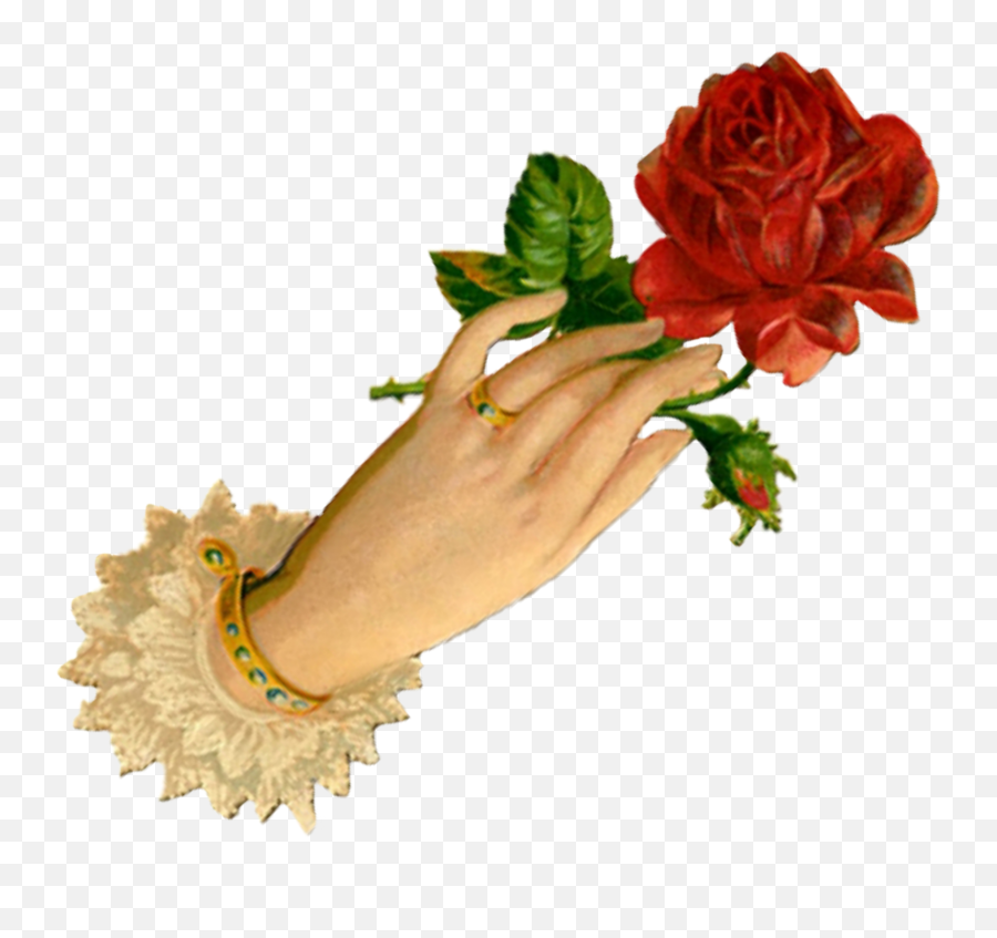 1800s Vintageaesthetic Vintage 332508646001201 By Kqzt Emoji,Kimmy Schmidt Emojis