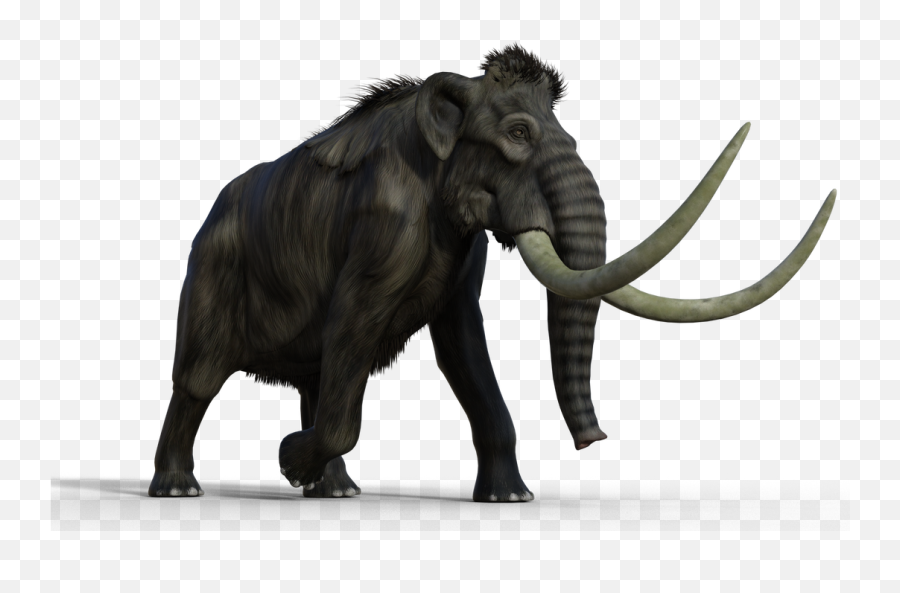 The Most Edited Mammoth Picsart Emoji,Checkbox Emoticon Mastodon