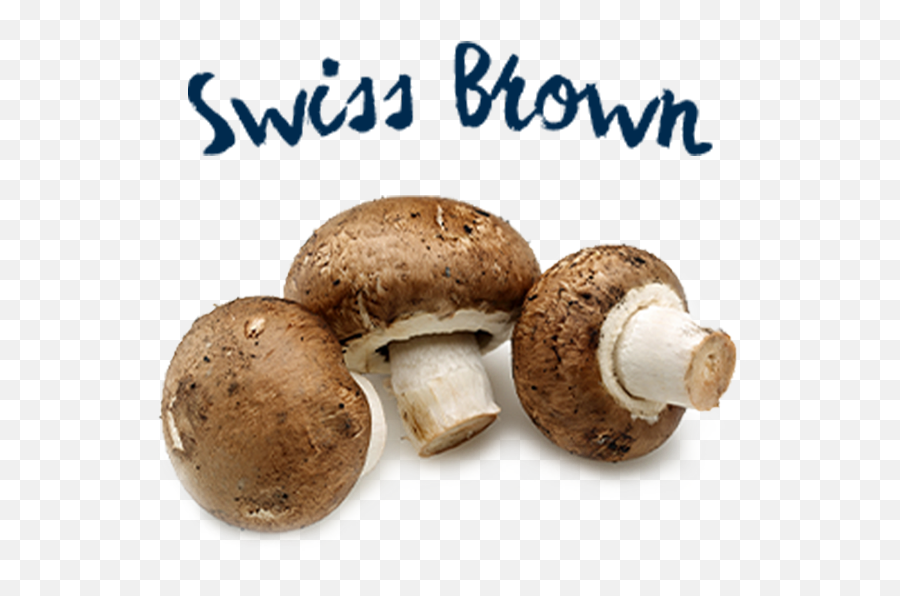 Home Meadow Mushrooms Homegrown Goodness Everyday Emoji,Emoji Mushroom Chair
