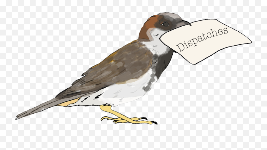 Blog Little Bird Emoji,Bird Discord Emoji