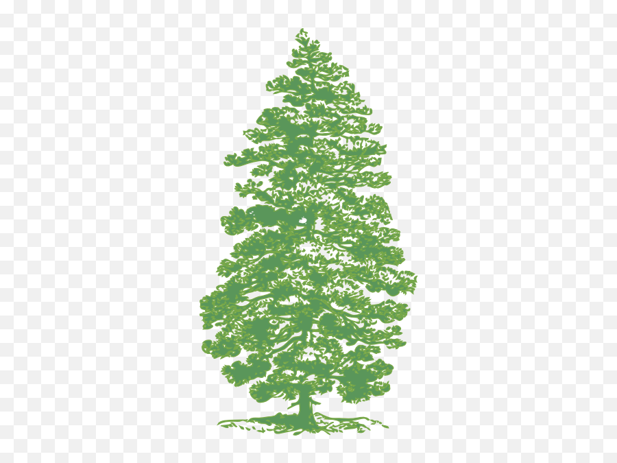 Green Pine Tree Clip Art At Clker - Arvore Pinheiro Em Desenho Emoji,Pine Tree And Plant Emojis Facebook