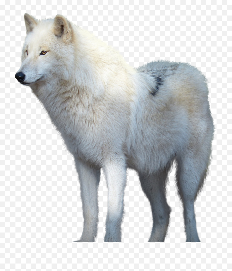 Discover Trending - Northern Breed Group Emoji,Wolf Emojis Tyler