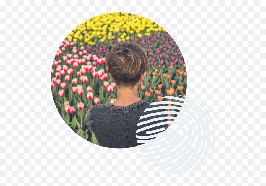Cognitive Hypnotherapy - My Next Me Tulip Emoji,Hypnosis To Remove An Emotion