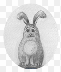 Anamation - Domestic Rabbit Emoji,Visiable Emotions Of A Bunny
