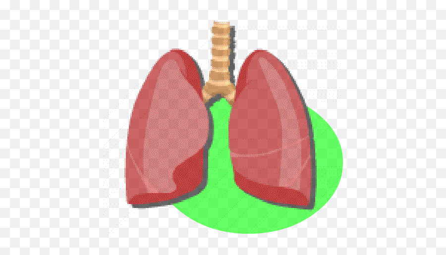 Lung Sounds For Android - Heart Emoji,Lung Emoji