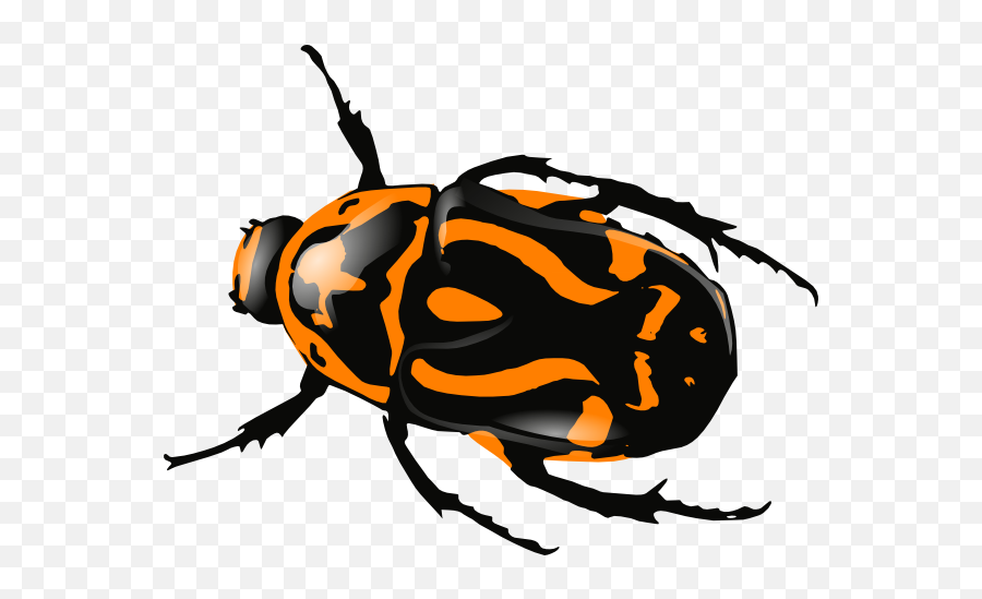 Free Orange Bug Cliparts Download Free Orange Bug Cliparts - Beetle Clipart Emoji,Tiny Insect Tick Emoticons