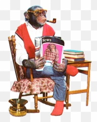 Genius Chimp Monkey Pictures Monkeys Funny Monkey Art - Animal Emoji,Barrel Of Monkeys Emoticon