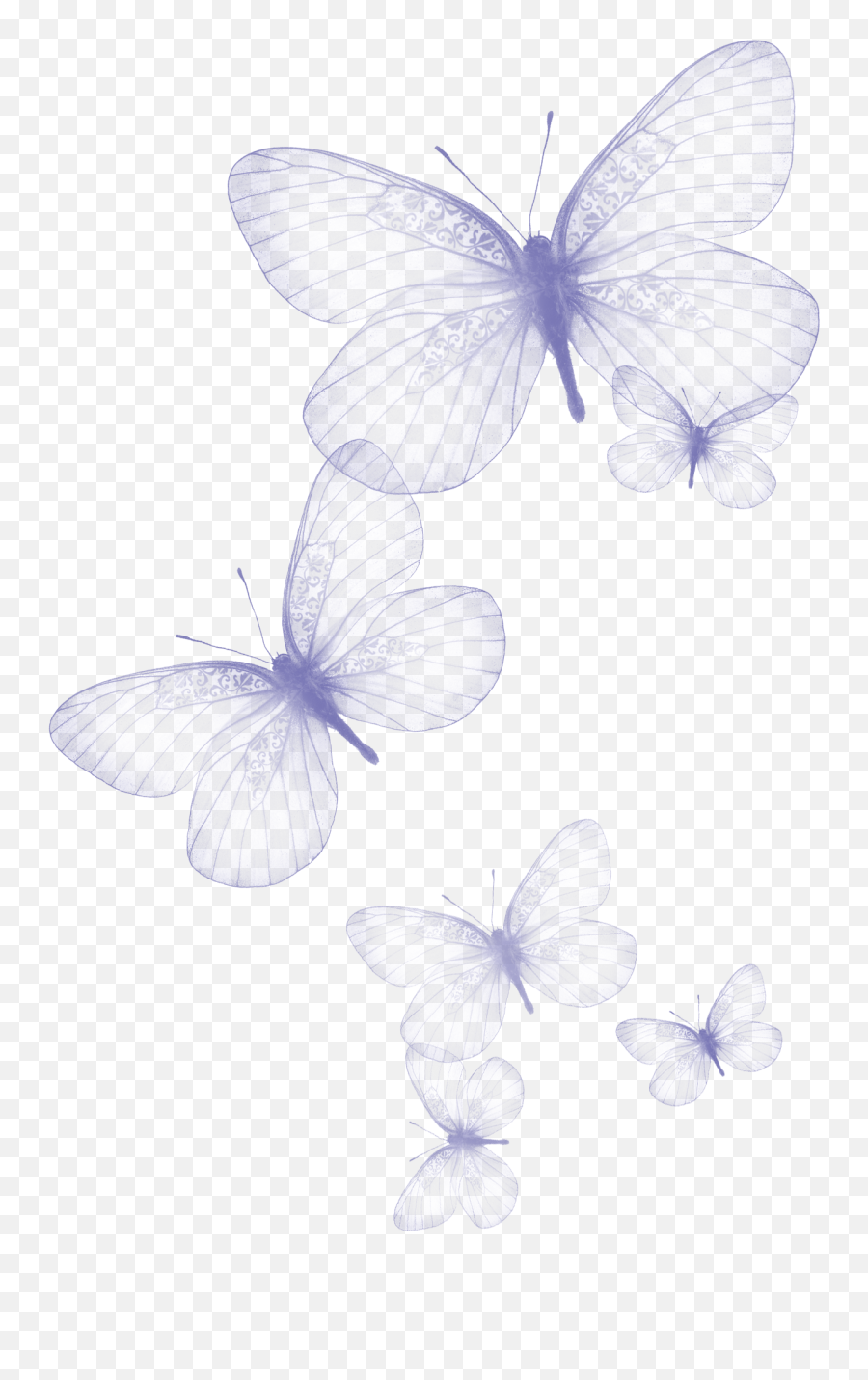 Transparent Butterfly Wallpapers - Top Free Transparent Emoji,Blue Butterfly Emoji