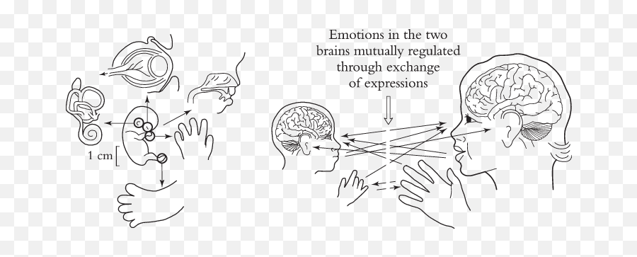 How The Sensory - Language Emoji,Non Euclidean Emotions