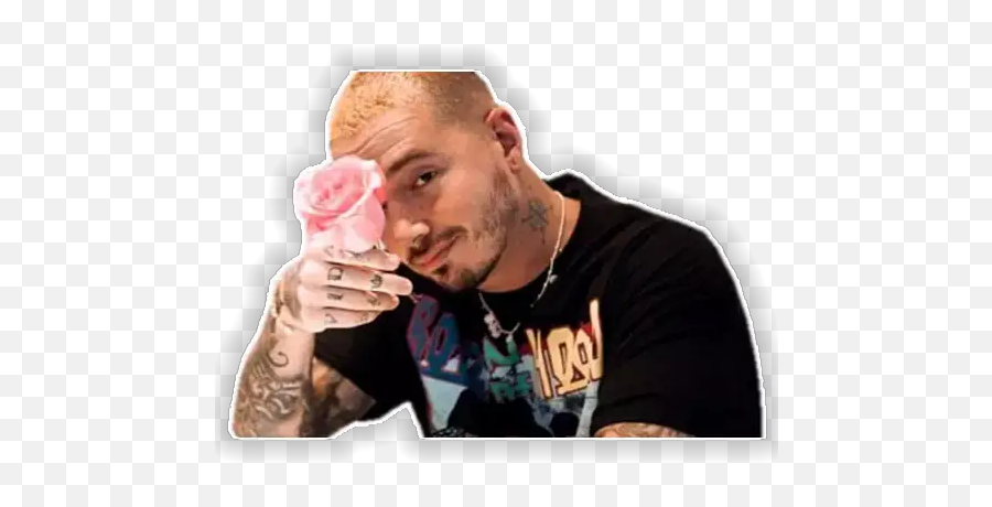 J Balvin U0026 Pitbull Stickers For Whatsapp - Garden Roses Emoji,Desenho Emoji Whatsapp J Balvin U0026 Pitbull Stickers For Whatsapp - Garden Roses Emoji,Desenho Emoji Whatsapp