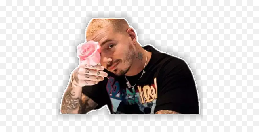 J Balvin U0026 Pitbull Stickers For Whatsapp - Garden Roses Emoji,Desenho Emoji Whatsapp