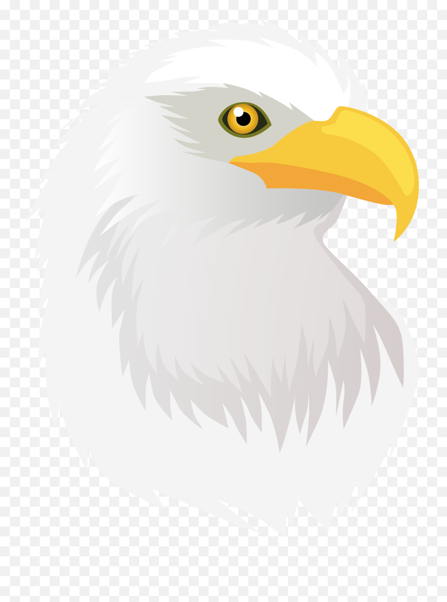 Free Eagle Head Vector Png Download Free Clip Art Free - Clipart Eagle Head Transparent Emoji,Is There An Eagle Emoji