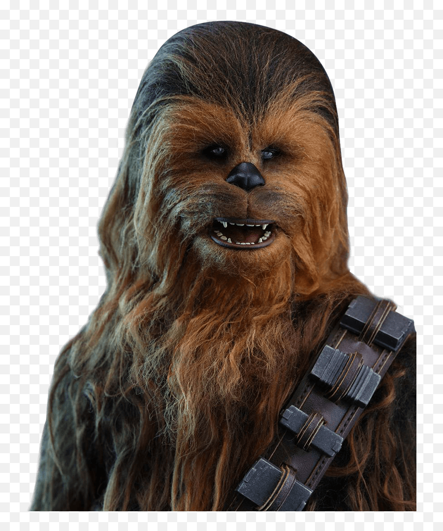 16 Hot Toys - Mms Star Wars Episode Vii Han Chewbacca Png Emoji,Chewbacca Emoticon