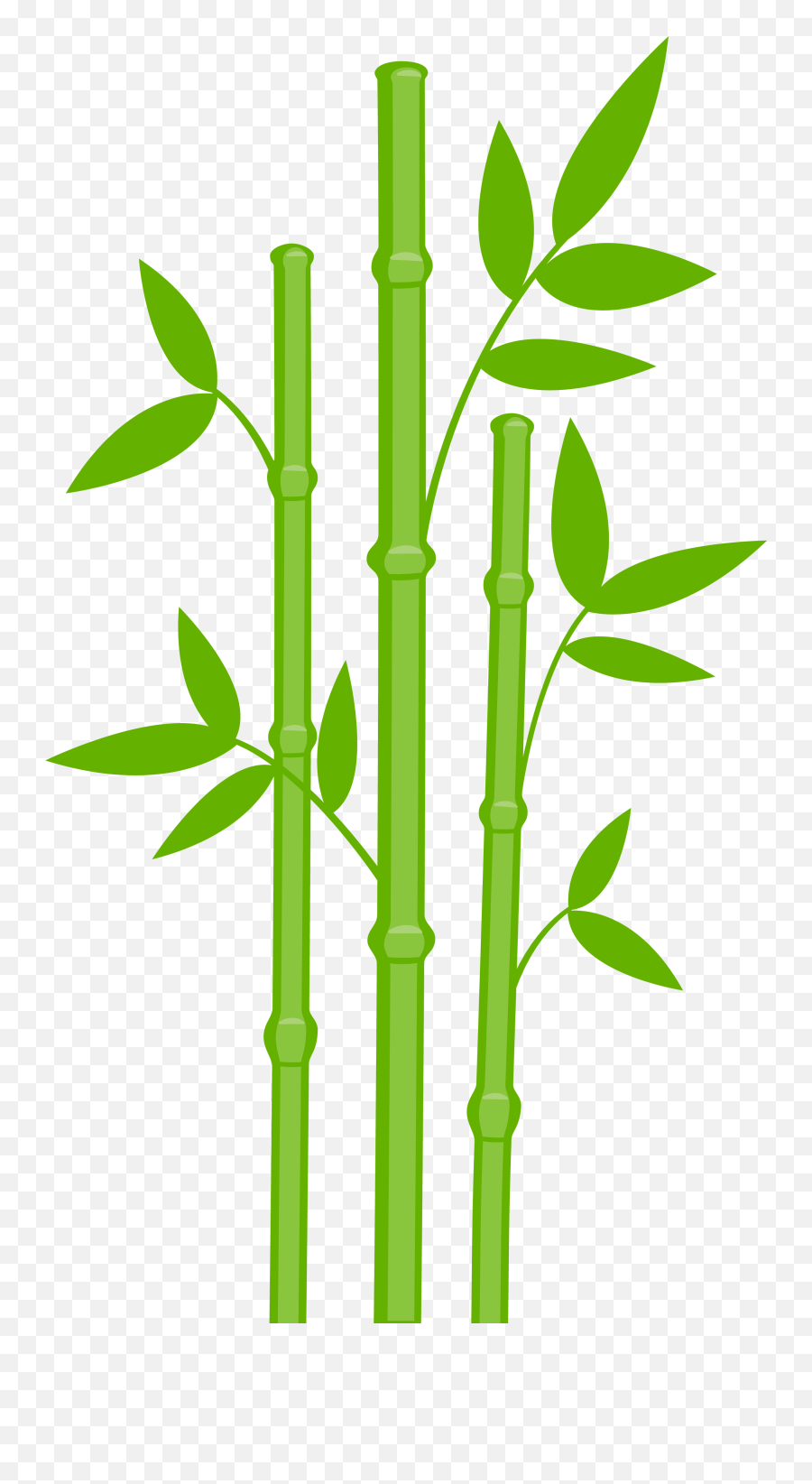 One Clipart Bamboo One Bamboo Transparent Free For Download - Bamboo Clipart Png Emoji,Bamboo Emoji